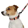 Повідець для собак BronzeDog Urban Folk нейлоновий кораловий L
