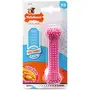 Nylabone Puppy Chew Dental Bone НІЛАБОН ДЕНТАЛ БОУН жувальна іграшка кістка для цуценят, смак курки XS, для цуценят до 7 кг