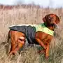 Flamingo Touchdog Coat ФЛАМІНГО ПЛАЩ попона одяг для собак 66х89х48 см