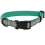 Coastal Ribbon Weave Collar КОСТАЛ РІББОН ВЕЙВ нашийник для собак Темно-бірюзовий з кісточками