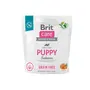 Сухий корм Brit Care Dog Grain-free Puppy для цуценят, беззерновий з лососем, 1 кг