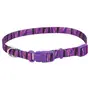 Coastal Pet Attire Styles КОСТАЛ СТАЙЛС нашийник для собак, 1х12-30см Пурпурний