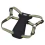 Coastal K9 Explorer Harness КОСТАЛ К9 ЕКСПЛОРЕР світловідбивна шлея з нагрудником для собак 11.3-22.6кг Папороть