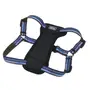 Coastal K9 Explorer Harness КОСТАЛ К9 ЕКСПЛОРЕР світловідбивна шлея з нагрудником для собак 11.3-22.6кг Сапфіровий