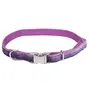 Coastal Pet Attire Sparkles КОСТАЛ СПАРКЛЕС нашийник для собак, 1х20-30см Фіолетовий