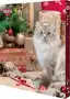 Адвент-календар Trixie для котів, 30×34×3.5 см
