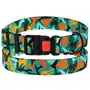 Нашийник для Собак BronzeDog Urban Camo Нейлоновий з Пластиковою Пряжкою Зелений L