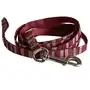 Coastal Pet Attire Weave КОСТАЛ повідець для собак, 1смХ1.8м Смужка