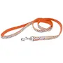 Coastal Pet Attire Ribbon КОСТАЛ РІББОН повідець для собак, 1.6смХ1.2м Крапка Coastal Pet Attire Ribbon КОСТАЛ РІББОН повідець для собак, 1.6смХ1.2м Крапка