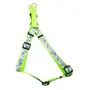 Coastal Lazer Brite КОСТАЛ ЛАЗЕР БРАЙТ світловідбивна шлея для собак, 1.6х48-66см Конюшина
