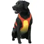 Coastal for Hunting Dogs КОСТАЛ НАГРУДНИЙ ЗАХИСТ для мисливських собак Помаранчевий Coastal for Hunting Dogs КОСТАЛ НАГРУДНИЙ ЗАХИСТ для мисливських собак Помаранчевий