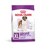 Сухий корм Royal Canin GIANT ADULT для дорослих собак гігантських порід 4 кг