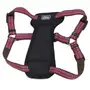 Coastal K9 Explorer Harness КОСТАЛ К9 ЕКСПЛОРЕР світловідбивна шлея з нагрудником для собак 2.3-4.5кг Малиновий