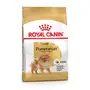 Сухий корм Royal Canin POMERANIAN ADULT для дорослих собак породи Померанський шпіц 0,5 кг
