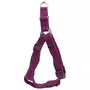 Coastal New Earth Soy Dog Harness КОСТАЛ СОЄВА ЕКОШЛЕЯ для собак Фіолетовий