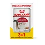 Вологий корм Royal Canin INSTINCTIVE LOAF для котів всіх порід 85 г 3+1