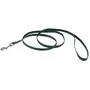 Coastal Nylon Leash КОСТАЛ НАЙЛОН повідець для собак, 1смХ1.2м Хакі