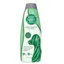 SynergyLabs SalonSelect Herbal Shampoo САЛОН СЕЛЕКТ НА ТРАВАХ шампунь для собак і котів 0,544 л