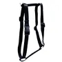 Coastal Standard Adjustable КОСТАЛ СТАНДАРТ шлея для собак Чорний
