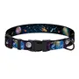 Нашийник для собак BronzeDog Urban Cosmos нейлоновий з металевою пряжкою Чорний XS Нашийник для собак BronzeDog Urban Cosmos нейлоновий з металевою пряжкою Чорний XS
