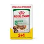 Вологий корм Royal Canin MINI ADULT для дорослих собак всіх порід 85 г 3+1