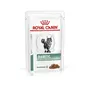 Дієтичний вологий корм Royal Canin DIABETIC CAT (шматочки у соусі) для котів 85 г Дієтичний вологий корм Royal Canin DIABETIC CAT (шматочки у соусі) для котів 85 г
