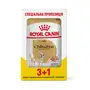 Вологий корм Royal Canin CHIHUAHUA ADULT для дорослих собак породи Чихуахуа 85 г 3+1