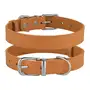 Нашийник для Собак Шкіряний BronzeDog Classic з Хромованою Фурнітурою Гірчичний 2XS Нашийник для Собак Шкіряний BronzeDog Classic з Хромованою Фурнітурою Гірчичний 2XS