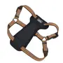 Coastal K9 Explorer Harness КОСТАЛ К9 ЕКСПЛОРЕР світловідбивна шлея з нагрудником для собак 2.3-4.5кг Полум’я