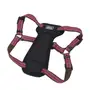 Coastal K9 Explorer Harness КОСТАЛ К9 ЕКСПЛОРЕР світловідбивна шлея з нагрудником для собак 20.4-45.3кг Малиновий