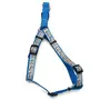 Coastal Lazer Brite КОСТАЛ ЛАЗЕР БРАЙТ світловідбивна шлея для собак, 2.5х66-97см Бірюзовий