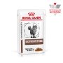 Дієтичний вологий корм Royal Canin GASTROINTESTINAL CAT (шматочки у соусі) для котів 85 г — Фото 12