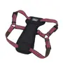 Coastal K9 Explorer Harness КОСТАЛ К9 ЕКСПЛОРЕР світловідбивна шлея з нагрудником для собак 11.3-22.6кг Малиновий