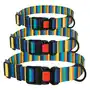 Нашийник для Собак BronzeDog Urban Полоска Нейлоновий з Пластиковою Пряжкою Жовто-Синій L Нашийник для Собак BronzeDog Urban Полоска Нейлоновий з Пластиковою Пряжкою Жовто-Синій L