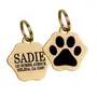 Адресник для Котів BronzeDog Позолота Тип 3 S