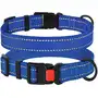 Нашийник для Собак BronzeDog Active Нейлоновий зі Світловідбиттям та Пластиковою Пряжкою Синій L