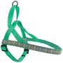 Coastal Ribbon Weave Harness КОСТАЛ РІББОН ВЕЙВ шлея для собак Темно-бірюзовий з кісточками