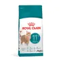 Royal Canin Ageing 11+ Сухий корм для літніх котів віком від 11 років, 2 кг