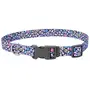 Coastal Pet Attire Styles КОСТАЛ СТАЙЛС нашийник для собак, 1х12-30см Cпеціальна лапа коричневий