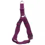 Coastal New Earth Soy Dog Harness КОСТАЛ СОЄВА ЕКОШЛЕЯ для собак Фіолетовий