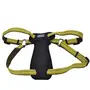 Coastal K9 Explorer Harness КОСТАЛ К9 ЕКСПЛОРЕР світловідбивна шлея з нагрудником для собак 20.4-45.3кг Золотарник