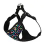 Шлея для Собак Barksi Sport Бульки M Шлея для Собак Barksi Sport Бульки M