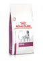 Дієтичний сухий корм Royal Canin RENAL DOG для собак 2 кг
