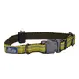 Coastal K9 Explorer Collar КОСТАЛ К9 ЕКСПЛОРЕР світловідбивний нашийник для собак, 1.6х20-30см Золотарник Coastal K9 Explorer Collar КОСТАЛ К9 ЕКСПЛОРЕР світловідбивний нашийник для собак, 1.6х20-30см Золотарник