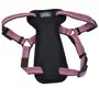 Coastal K9 Explorer Harness КОСТАЛ К9 ЕКСПЛОРЕР світловідбивна шлея з нагрудником для собак 2.3-4.5кг Рожевий