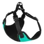 Шлея для Собак Дрібних Порід Barksi Sport Неопрен 3D Сітка Бірюзова M