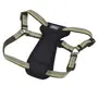 Coastal K9 Explorer Harness КОСТАЛ К9 ЕКСПЛОРЕР світловідбивна шлея з нагрудником для собак 2.3-4.5кг Папороть