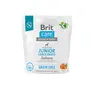 Сухий корм Brit Care Dog Grain-free Junior Large Breed для молодих собак великих порід, беззерновий з лососем, 1 кг Сухий корм Brit Care Dog Grain-free Junior Large Breed для молодих собак великих порід, беззерновий з лососем, 1 кг
