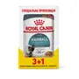 Вологий корм Royal Canin HAIRBALL CARE для котів всіх порід 85 г 3+1