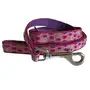 Coastal Pet Attire Weave КОСТАЛ повідець для собак, 1смХ1.8м Крапка